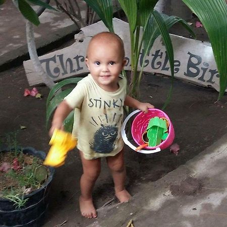 Three Little Birds Homestay Gili Trawangan Dış mekan fotoğraf