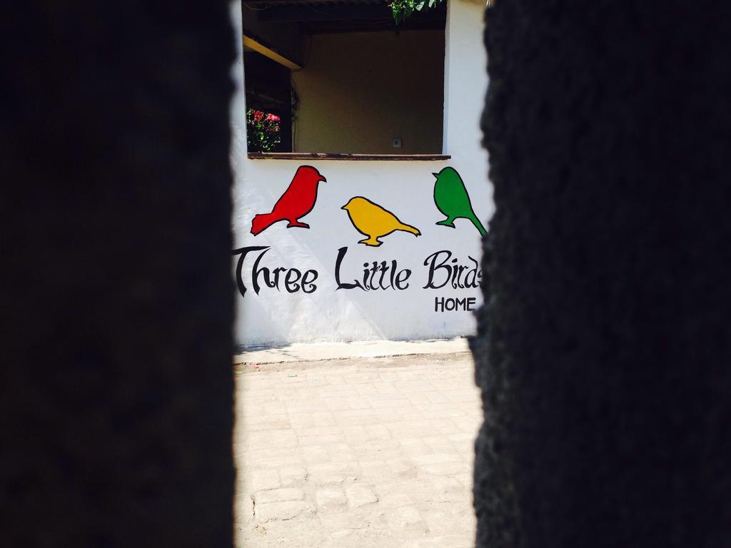 Three Little Birds Homestay Gili Trawangan Dış mekan fotoğraf