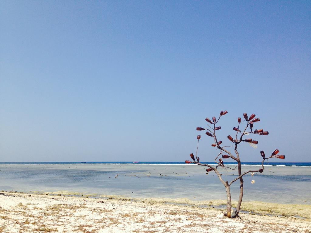 Three Little Birds Homestay Gili Trawangan Dış mekan fotoğraf