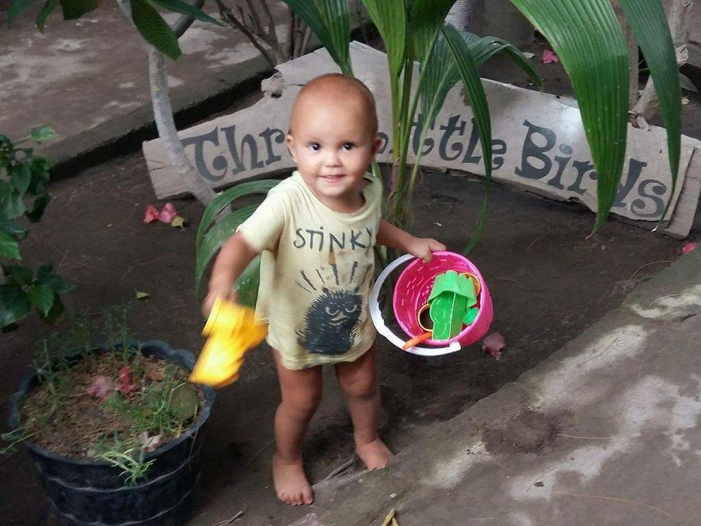 Three Little Birds Homestay Gili Trawangan Dış mekan fotoğraf